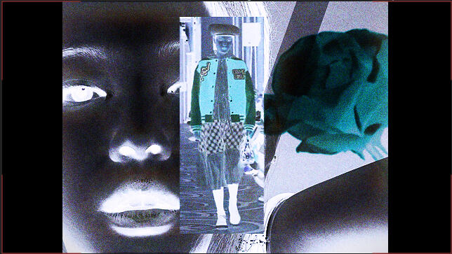 kenzo